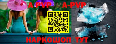 индика Нальчик
