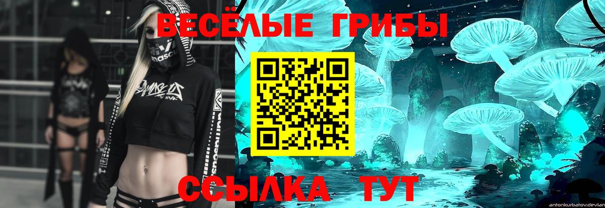Советский  Псилоцибиновые грибы мицелий  Псилоцибиновые грибы прущие грибы  где купить наркоту  Вход с VPN 