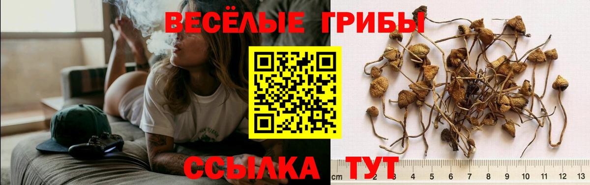 Псилоцибиновые грибы Magic Shrooms Советский